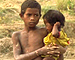 Bihar: The hungry tide