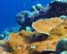 India's Underwater Treasures
