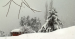 Kashmir 5N-6D Starting @ Rs. 15,800