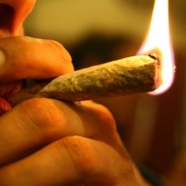 Marijuana Brownies Are Ok, But No Lollipops: Washington State 