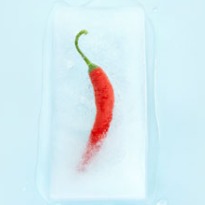 The chilli pepper: hot for you?