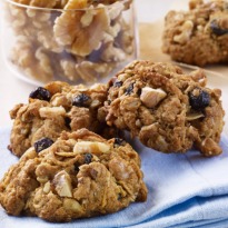 Walnut-Blueberry Oatmeal Energy Bites