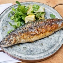 Angela Hartnett's chargrilled mackerel with pickled cucumber recipe