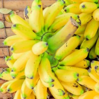 banana-med.jpg
