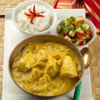 Bengali Doi Maach
