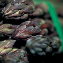 Why asparagus is good for you