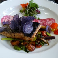 Canadian Salmon 