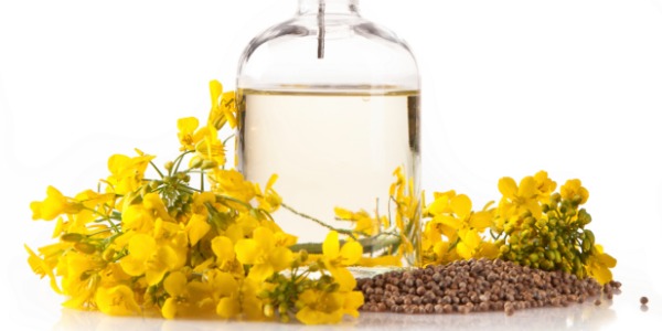 canola-oil_article.jpg