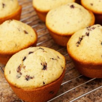 Eggless Vanilla Muffins