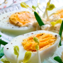 eggs