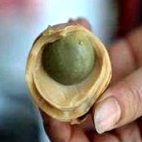 World Egg Day: 5 Most Shocking Egg Delicacies