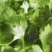 Why flat-leaf parsley is good for you