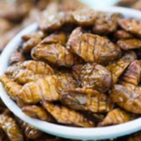 Of course we don't want to eat bugs. But can we afford not to?