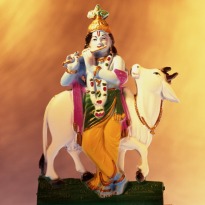Sing. Dance. Celebrate: Janmashtami is Here!