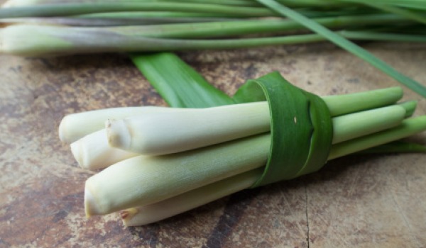 lemongrass-600.jpg