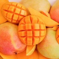 Kolkata readies for gourmet mango dishes