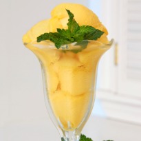 Mango & Mint Sorbet