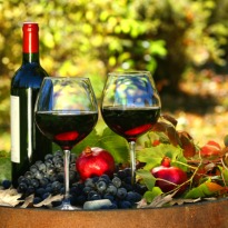 Match the shape with the grape