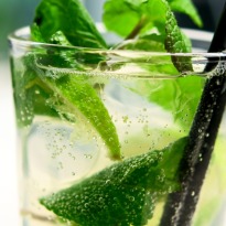 Mint Lime Fizz Mint Lime Fizz
