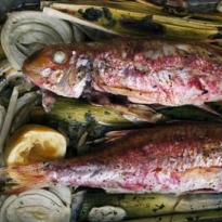 Nigel Slater's fish recipes