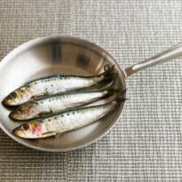 Oily fish is best brain nutrition
