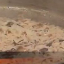 Sesame Seed Pulao