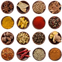 The Indian Spice Trail