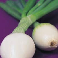 Quick tip: Don't throw away spring onion roots!