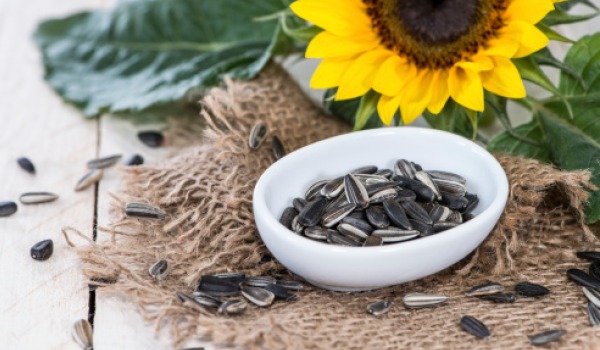 sunflower-seed-600.jpg