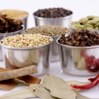 Tandoori Masala