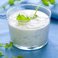 Yogurt Dip