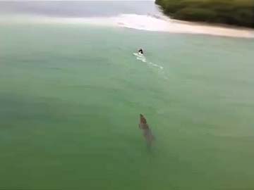 That Heart-Stopping Moment When a Tourist Was Chased By a Crocodile That Heart-Stopping Moment When a Tourist Was Chased By a Crocodile