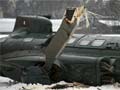 Two helicopters collide at Berlin stadium, one dead 