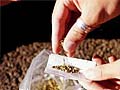 Zimbabwean woman held with drugs worth Rs 1.5 crore at Delhi airport