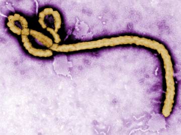 Six 'High Risk' Ebola Passengers From West Africa Quarantined at Delhi Airport Six 'High Risk' Ebola Passengers From West Africa Quarantined at Delhi Airport
