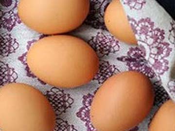How Bird Eggs Get Their Bling