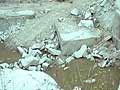 A scam worth 16,000 crores that rests on granite