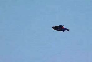 Don't try this at home. He leapt 2400 ft from plane without parachute