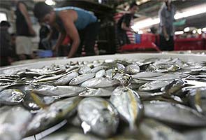 Kerala's 47-day trawling ban begins on Friday