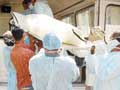 First H1N1 death in Mumbai: Swine flu claims pregnant woman