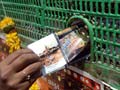 India's censored kisses to be shown for the first time