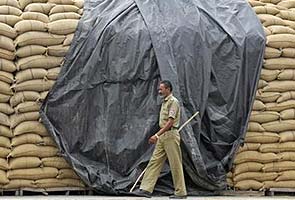 Right to Food activists demand reversal of government's decision to export 2 mn tonne wheat