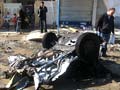 Attacks kill 12 in Iraq's Mosul: sources