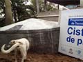 Harvesting the rain drop in Brazil