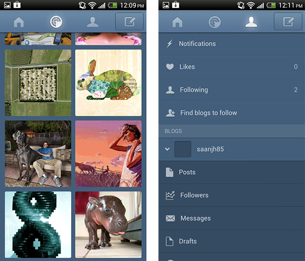 tumblr mobile app