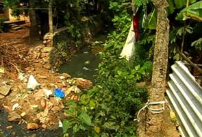kerala-dengue-mosquitoes-295.jpg