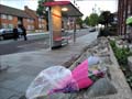London attack: Woman confronted attackers to deflect danger