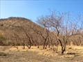 Maharashtra battles the worst drought in decades