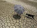 Six die in Assam as mercury soars to highest in 33 years