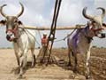 How poor monsoon can hit summer crops